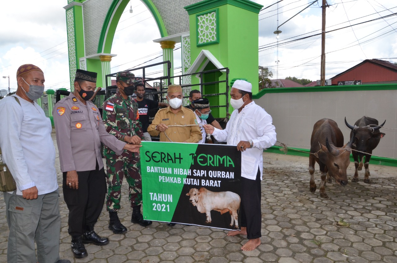 Wakil Bupati Atas nama Pemkab Kubar, Secara Simbolis Serahkan Bantuan Hewan Kurban